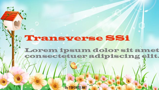 Transverse SSi example